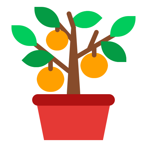 orange tree